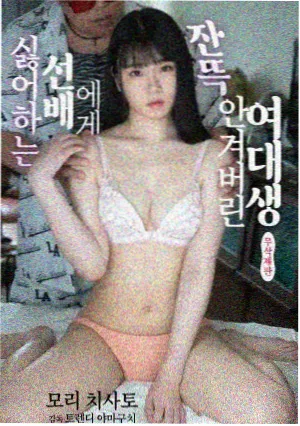 康熙王朝海报